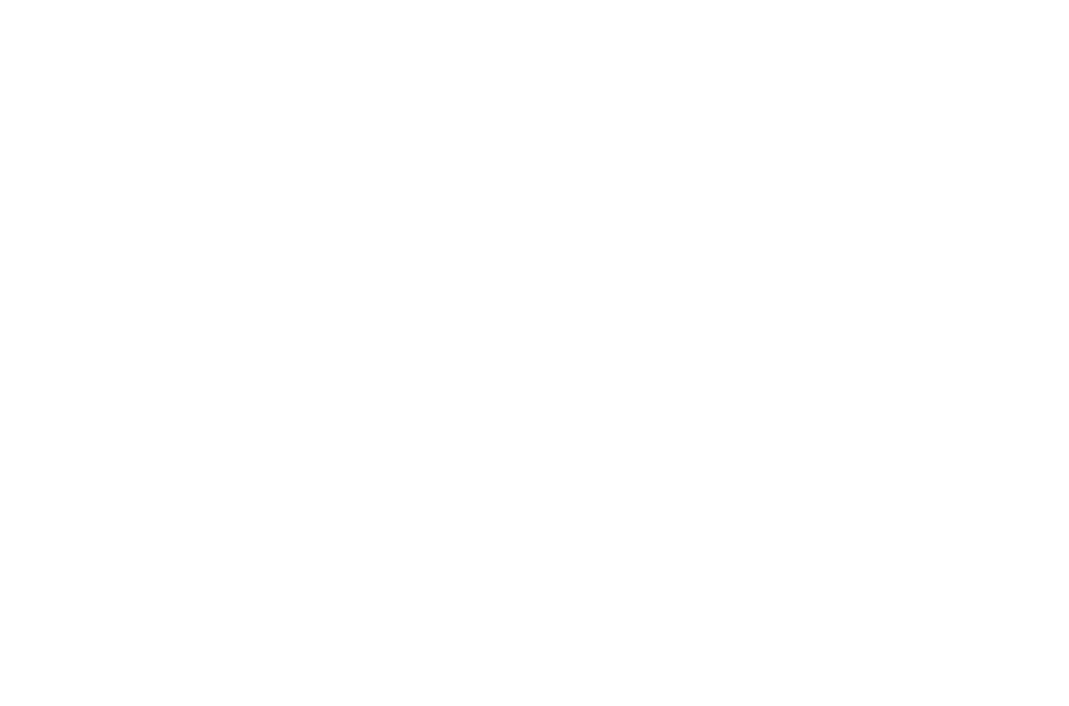 MicuFlow