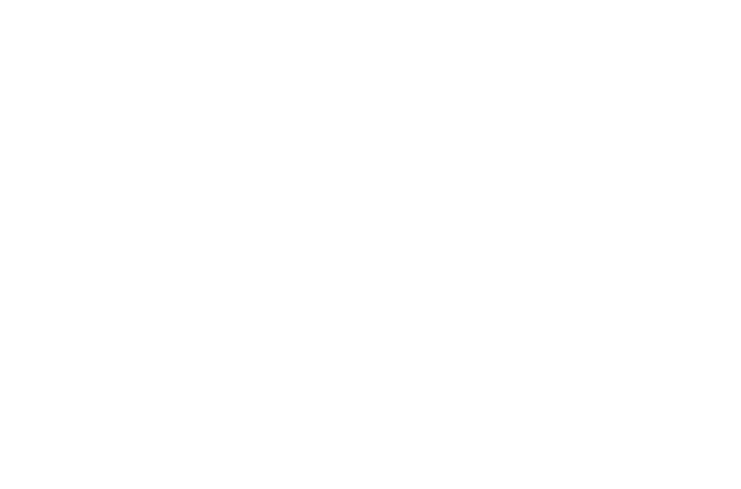 True Clean Label